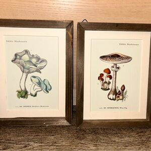 Framed Mushroom Art Prints - Set of 2